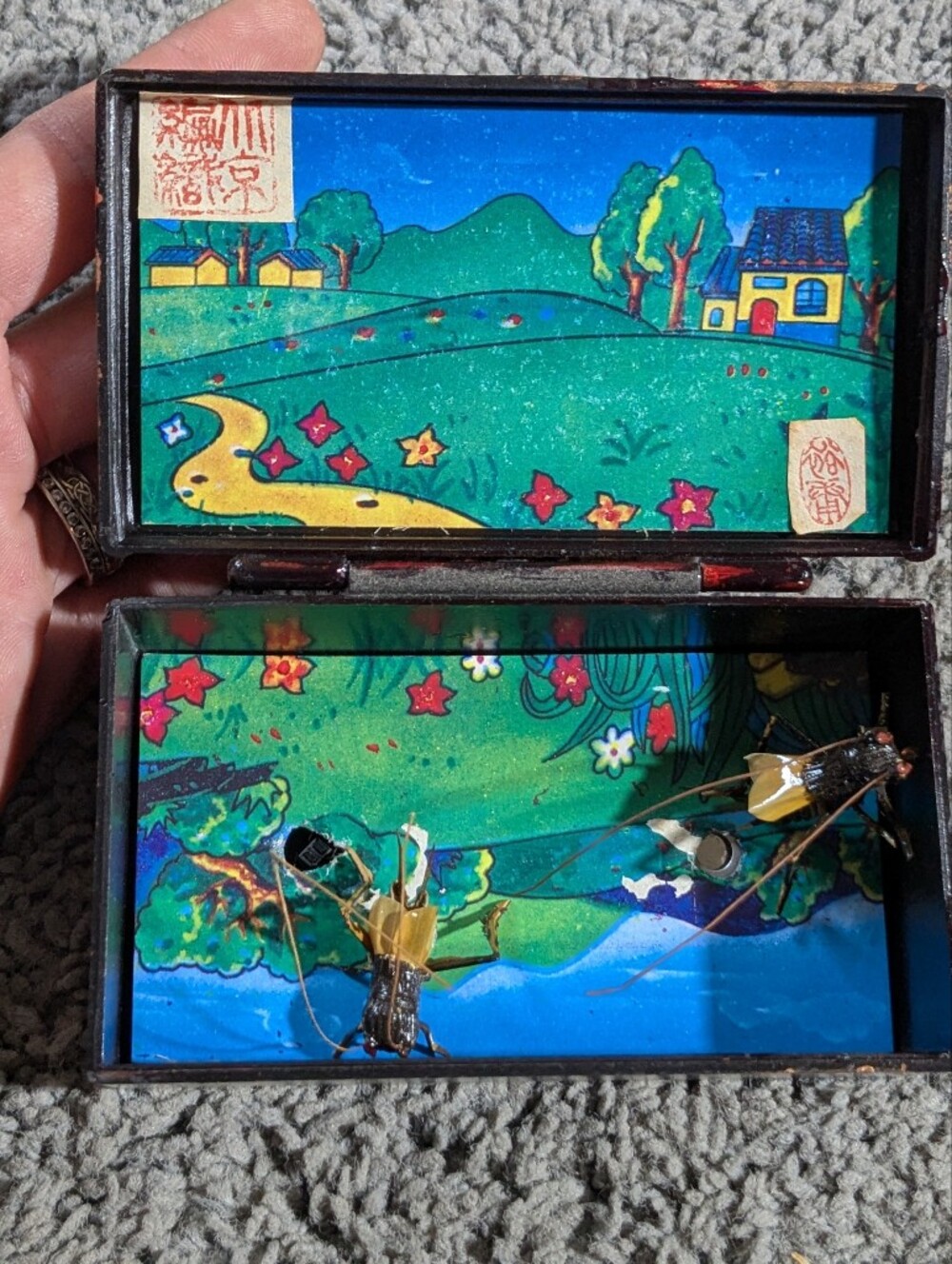 Vintage 1990s Chirping Cricket Music Box - Includes Box & 2 Reed Crickets